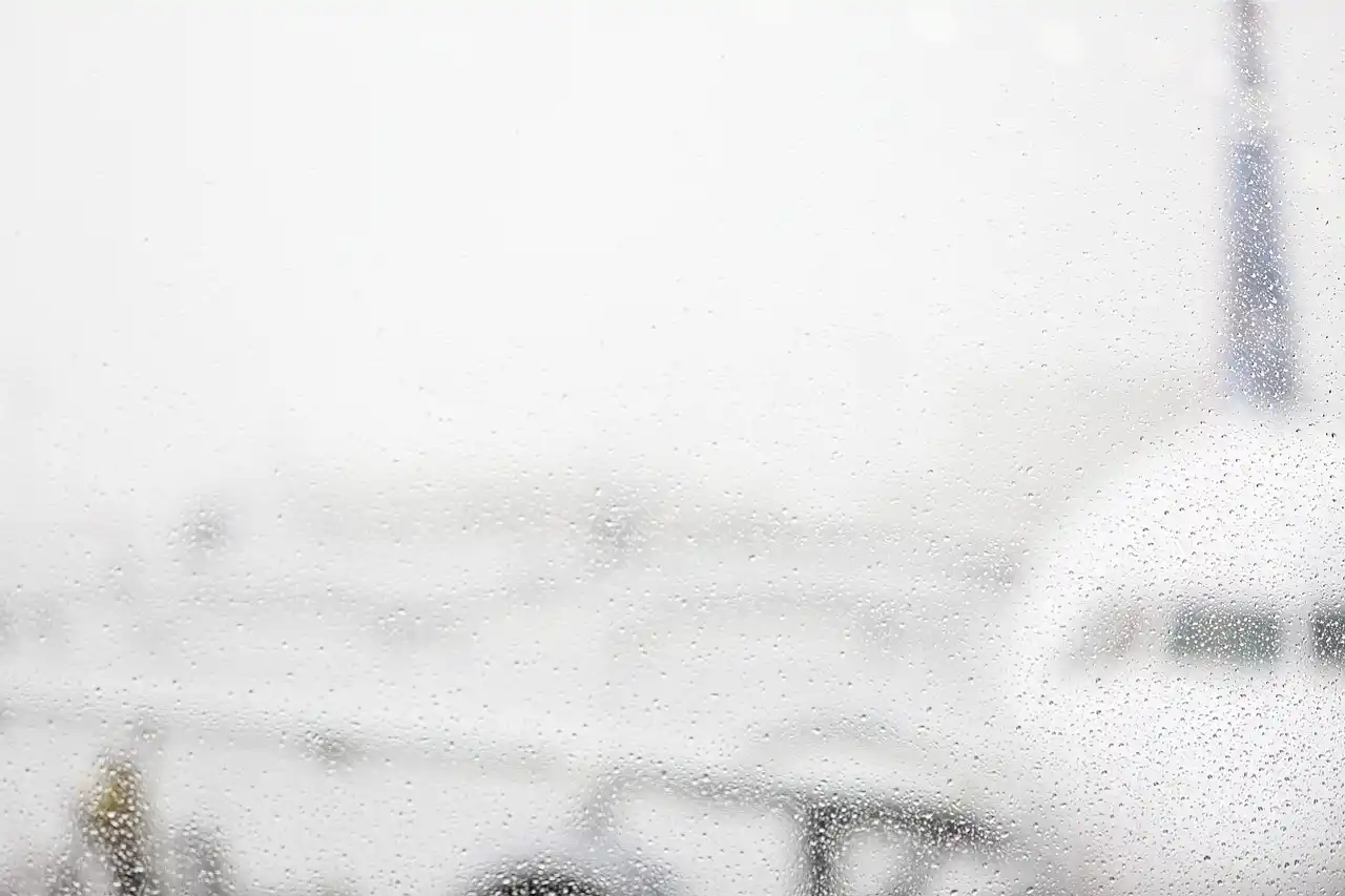 close-up of chauffeur in dark suit checking flight updates on smartphone beside a polished black executive sedan, SeaTac arrivals area signage visible, rainy Pacific Northwest a...