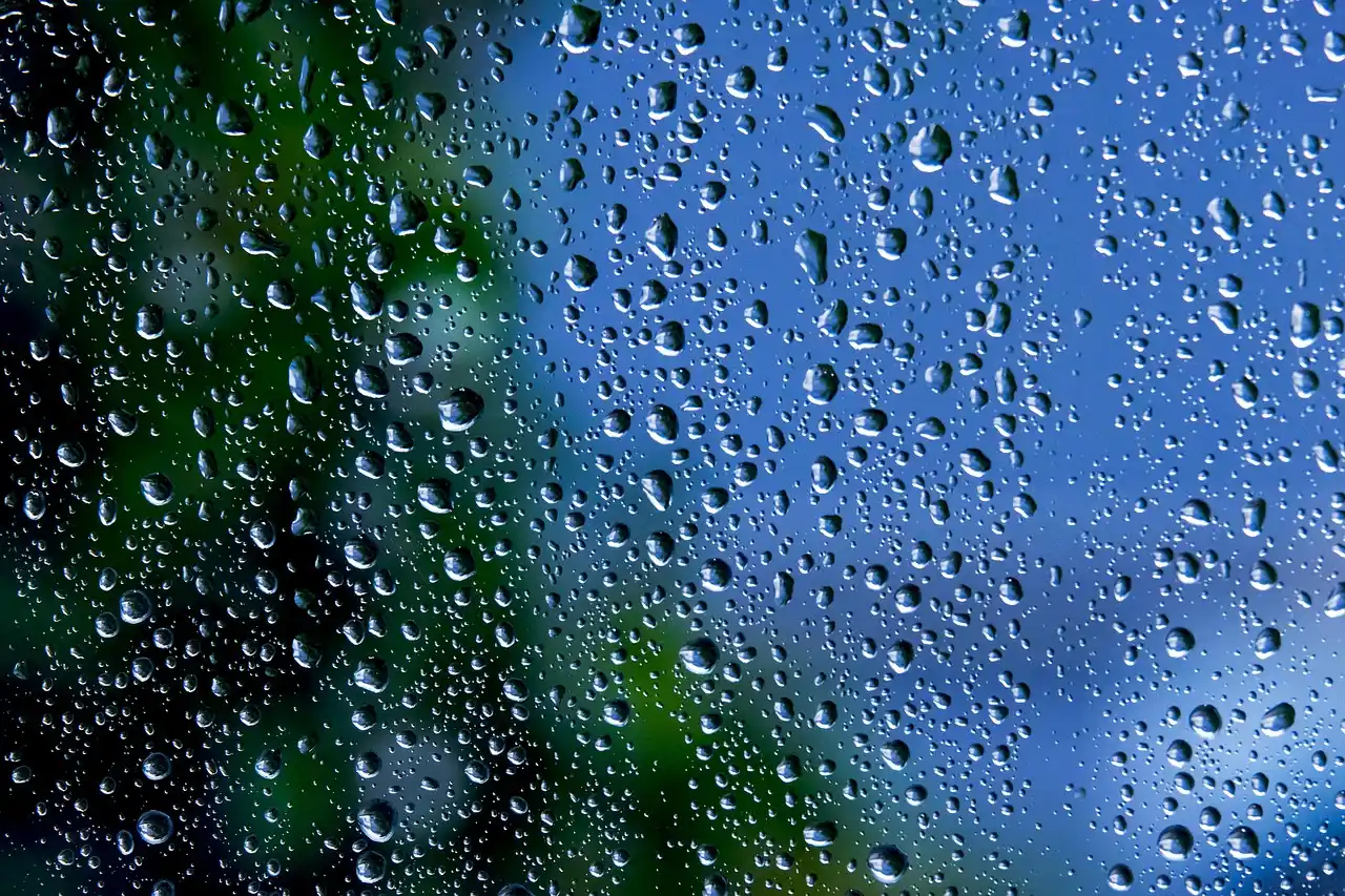 elegant leather interior of a premium town car with soft ambient lighting, bottled water, neatly placed phone charger, Seattle skyline visible through rain-speckled window